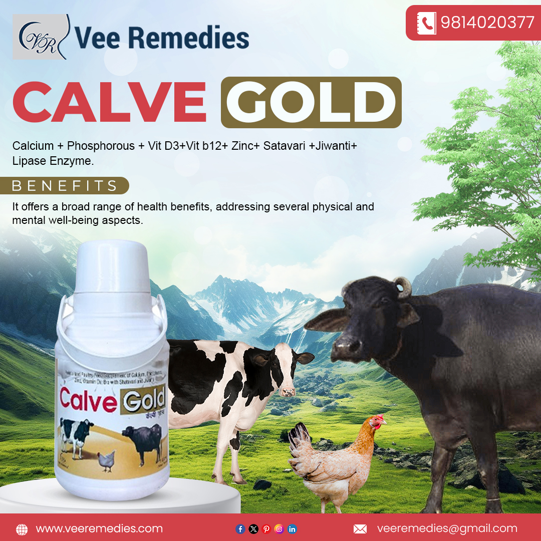 Veterinary PCD Companies in Gujarat