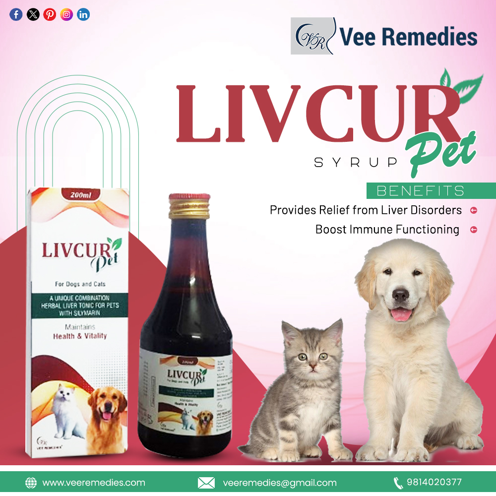 Top Liver Tonic Veterinary Brands in India