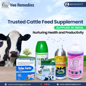 Cattle Feed Supplement Suppliers in India